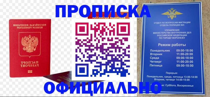 прописка иностранных граждан в Партизанске